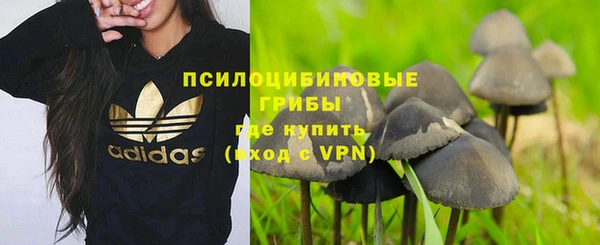 ПСИЛОЦИБИНОВЫЕ ГРИБЫ Зерноград