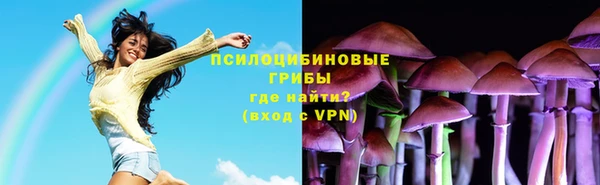 ПСИЛОЦИБИНОВЫЕ ГРИБЫ Зерноград