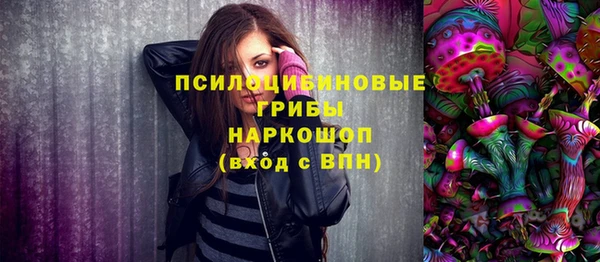 ПСИЛОЦИБИНОВЫЕ ГРИБЫ Зерноград