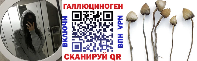 Псилоцибиновые грибы Psilocybine cubensis Лыткарино